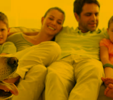 É possível monitorar seu PET por meio de câmeras.