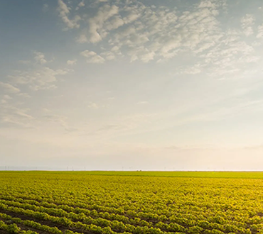 Proteja a sua propriedade rural com segurança eletrônica