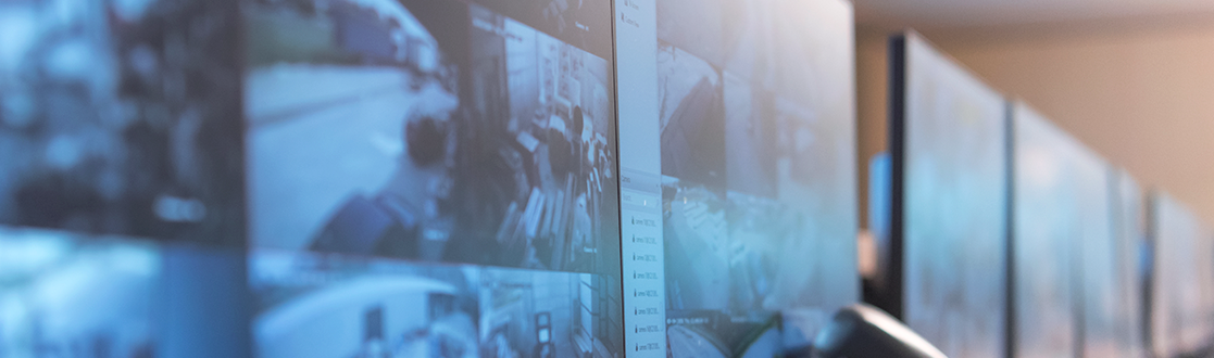 Estatuto de Segurança Privada 2024